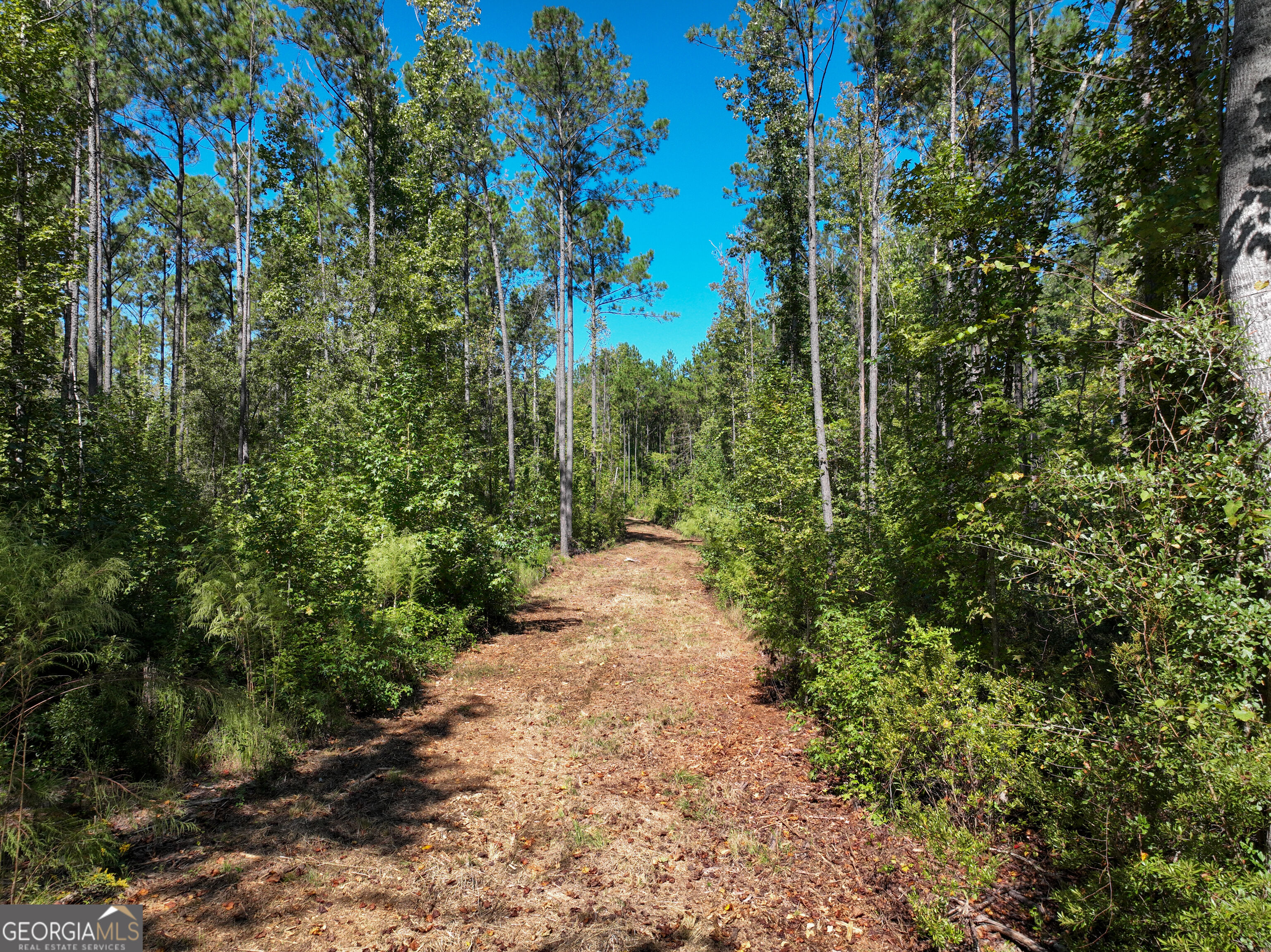 0 Buckrun Road Talbotton, GA 31827 - Photo 12 of 20 Gallery Image 12