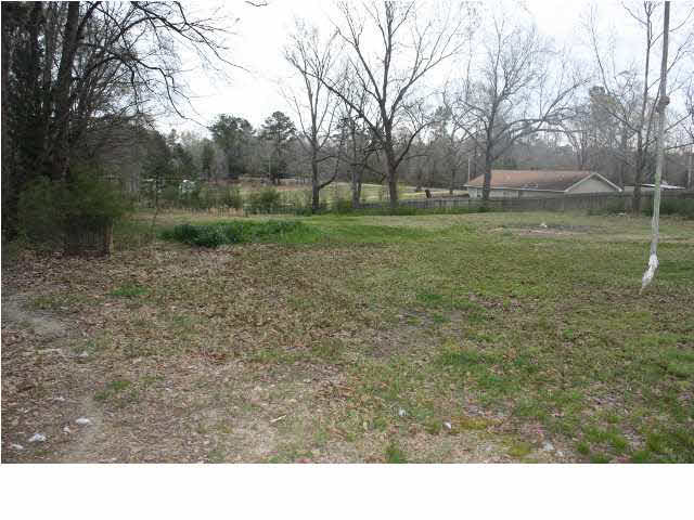 457 Seventh Day Road Florence, MS 39073 - Photo 4 of 4 View of the back portion of the land