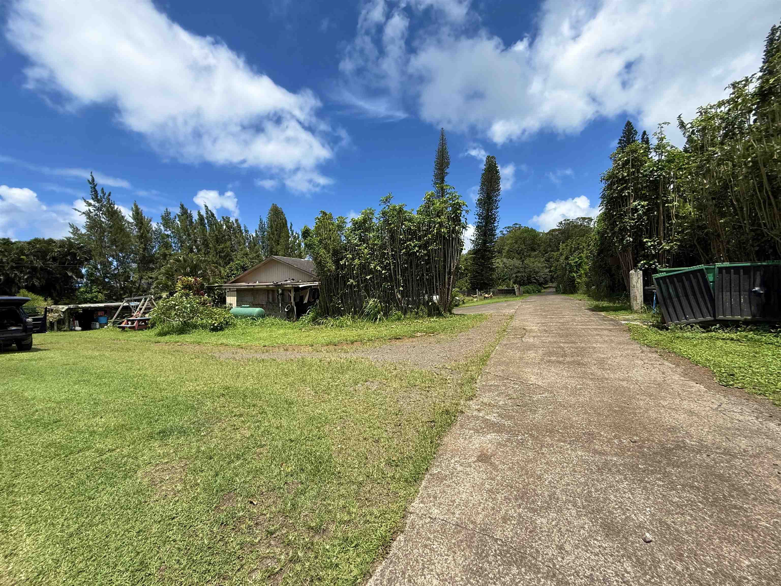 1630 Kauhikoa Road Haiku, HI 96708 - Photo 20 of 48 a view of a garden with a building in the background