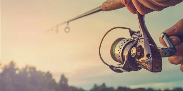 $30,000 | 68 Dagger Drive, Brookeland, TX 75931