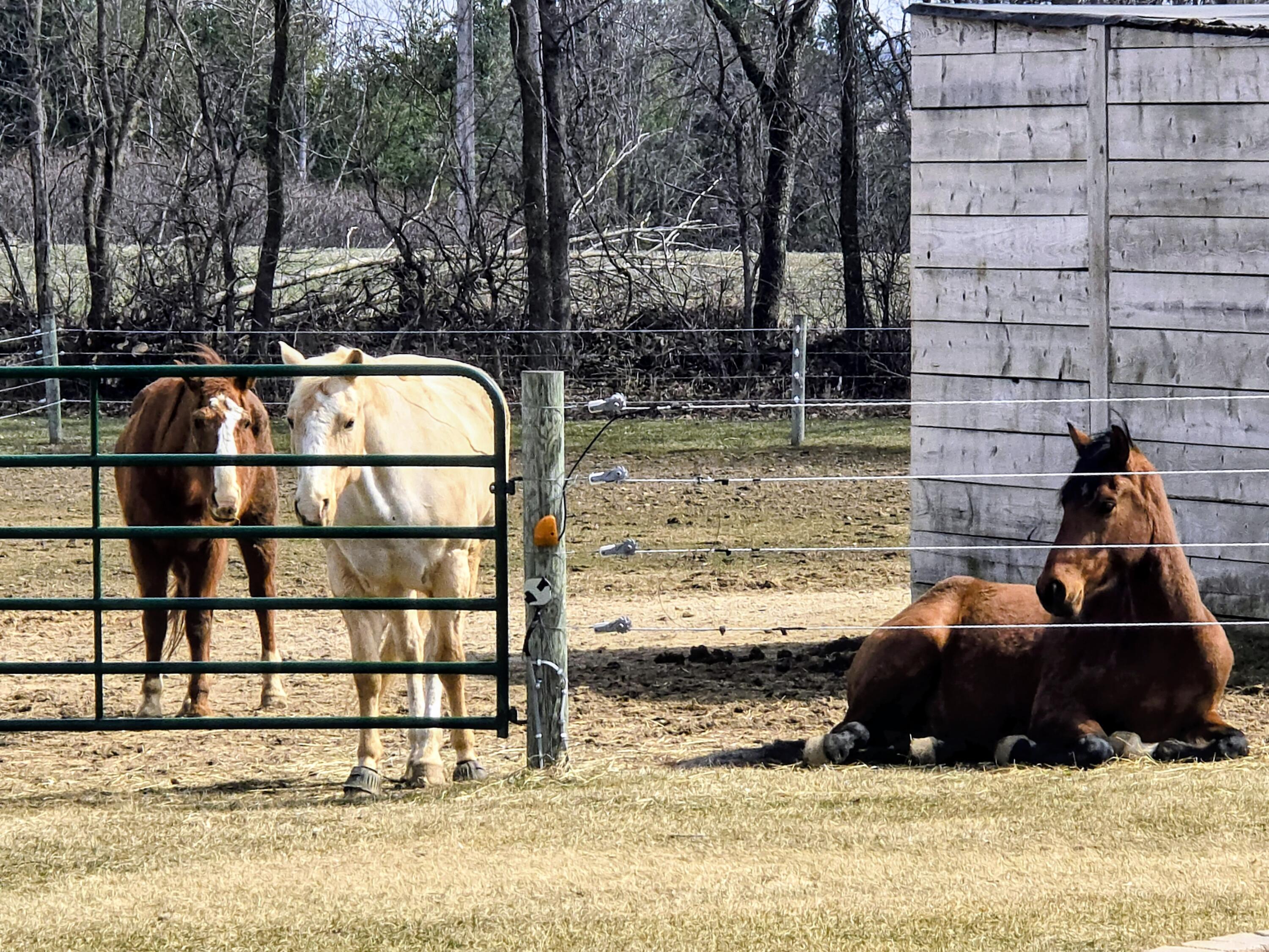 9518 State Highway 144 Farmington, WI 53040 - Photo 34 of 68 1000046701