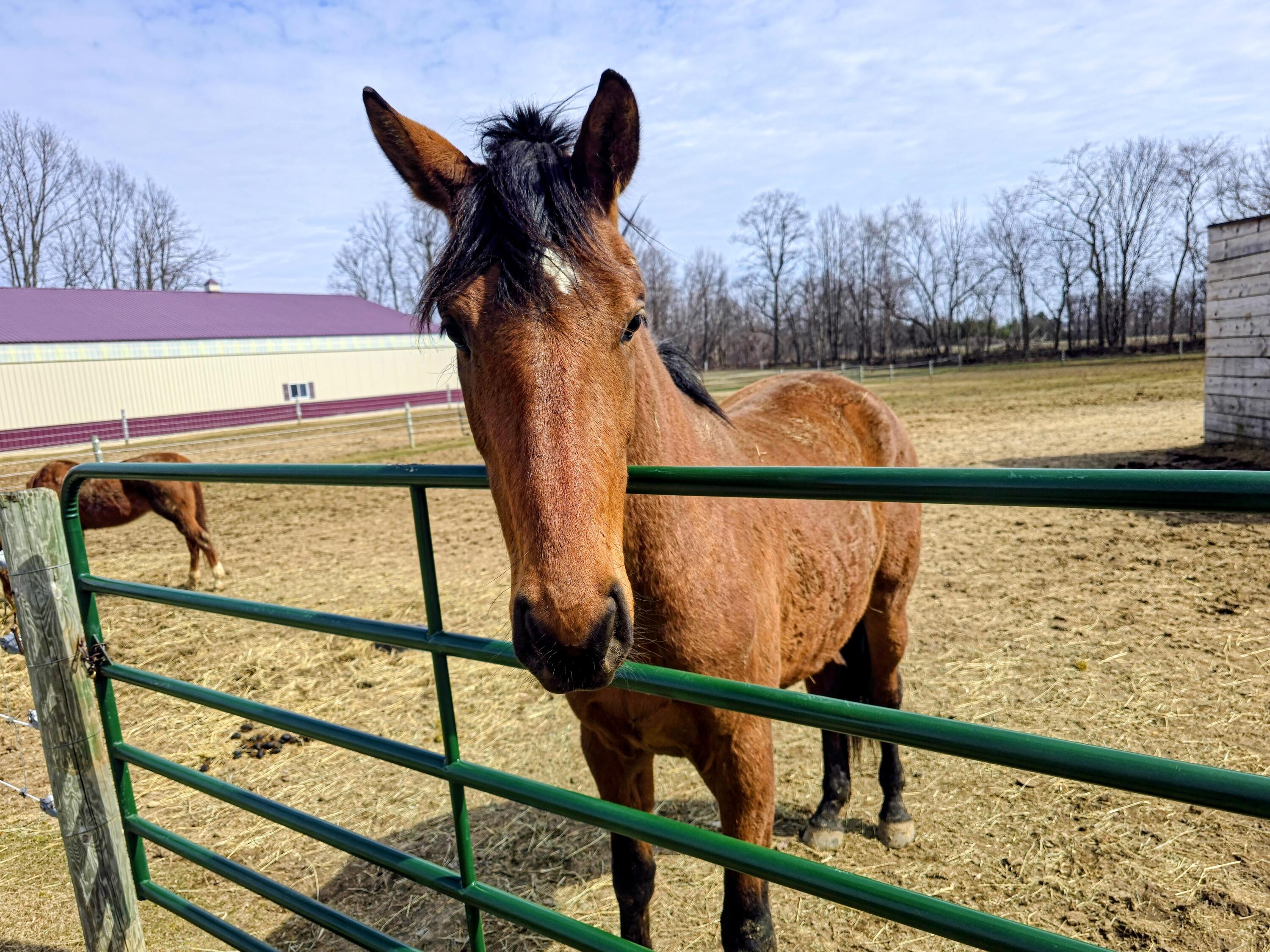 9518 State Highway 144 Farmington, WI 53040 - Photo 35 of 68 1000046506