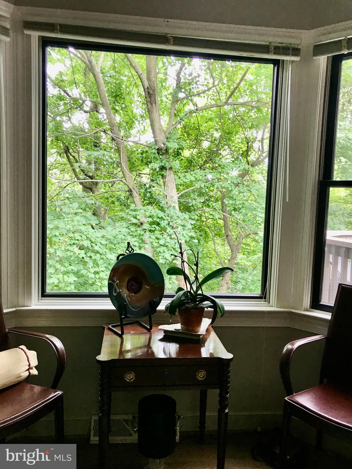 1817 Dogwood Road Harrisburg, PA 17110 - Photo 14 of 64 Large windows to enjoy your tree top view