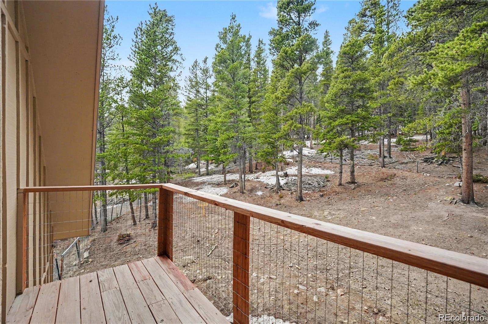 201 Silver Creek Road Idaho Springs, CO 80452 - Photo 16 of 17