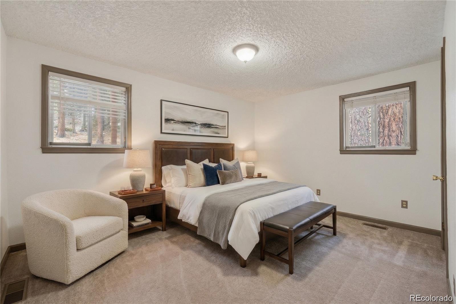 201 Silver Creek Road Idaho Springs, CO 80452 - Photo 4 of 17