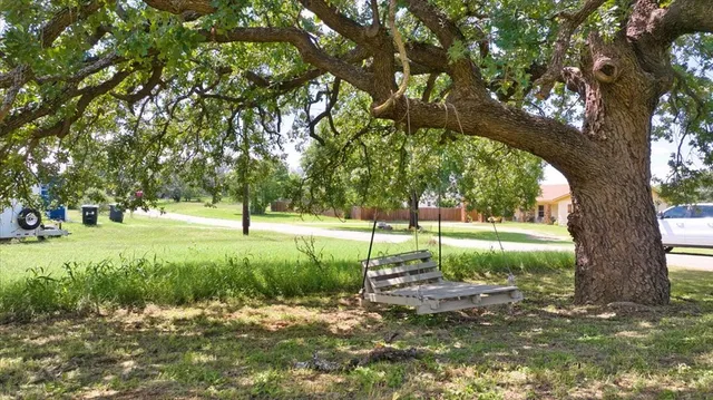 a view of backyard with tree
