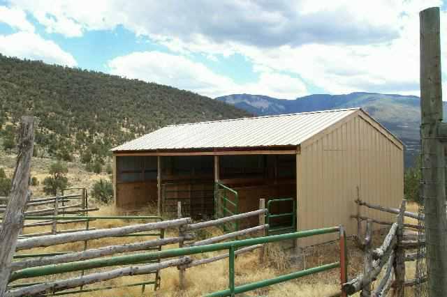 6198 320th Road Rifle, CO 81650 - Photo 3 of 8 Additional Photo