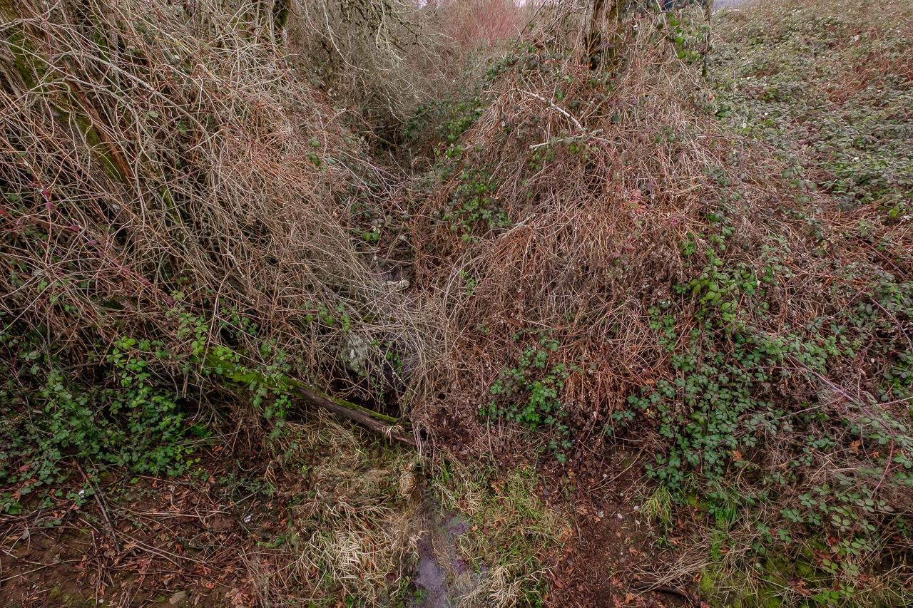 0 Folsom Road Southeast Albany, OR 97322 - Photo 17 of 22 Additional Photo