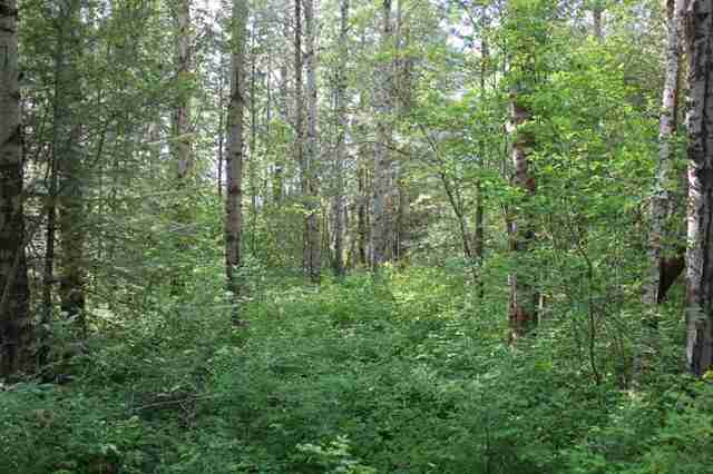 4010 West Enoch Road Deer Park, WA 99006 - Photo 7 of 9 Gallery Image 7