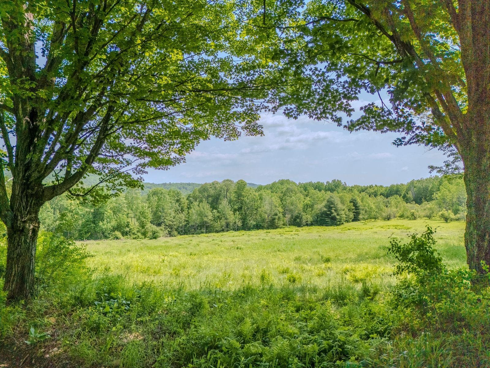 442 Josh Road Halifax, VT 05301 - Photo 3 of 59