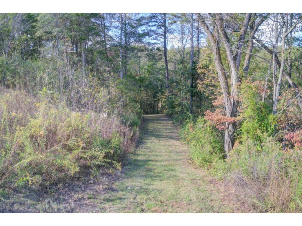 429 Beech Grove Road Bulls Gap, TN 37711 - Photo 30 of 35 Road to lower meadow