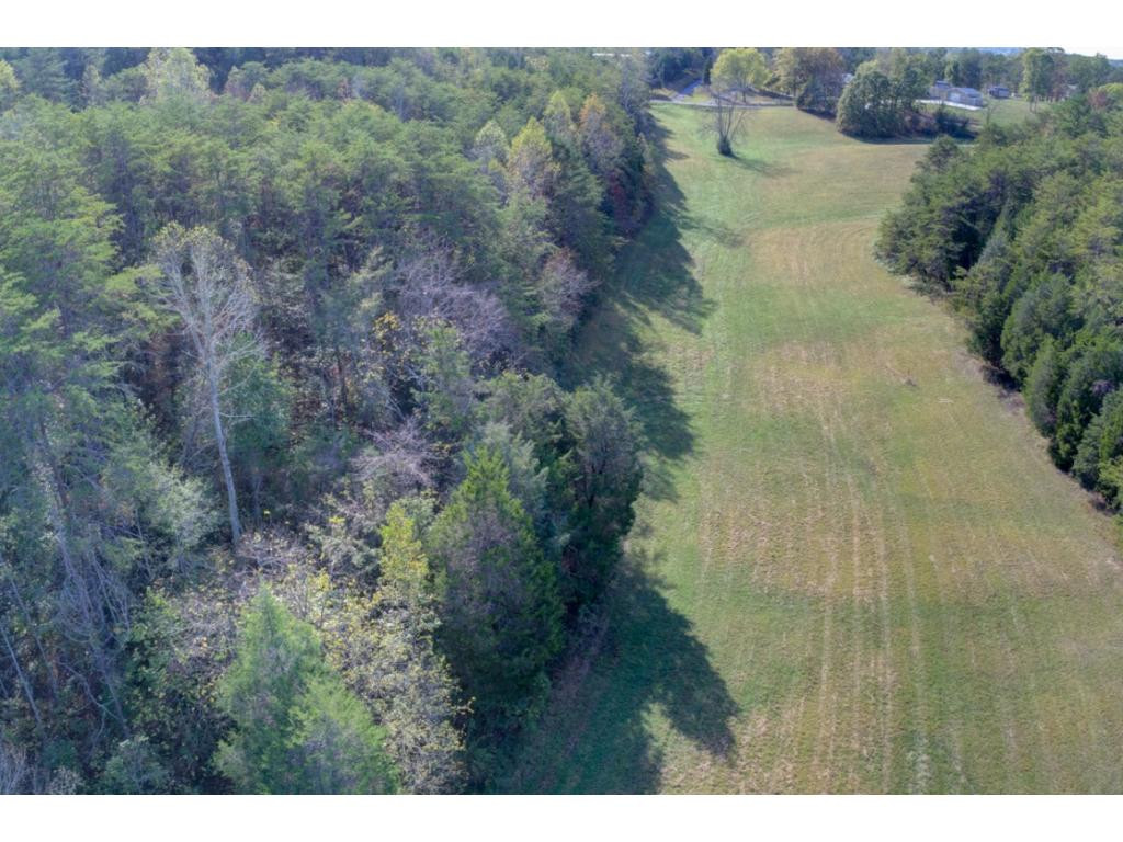 429 Beech Grove Road Bulls Gap, TN 37711 - Photo 31 of 35 MeadowHalf of itSurveyed