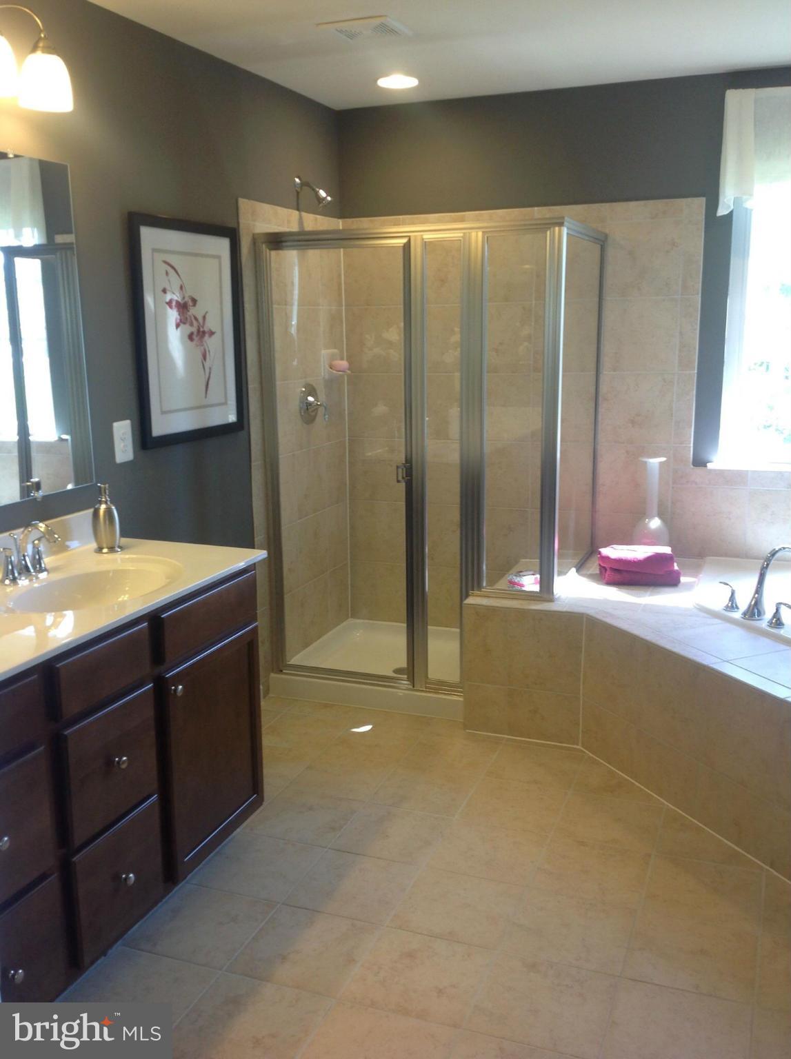 1002 Horse Collar Road Accokeek, MD 20607 - Photo 15 of 28 Model pic of Briarwood Master Bath