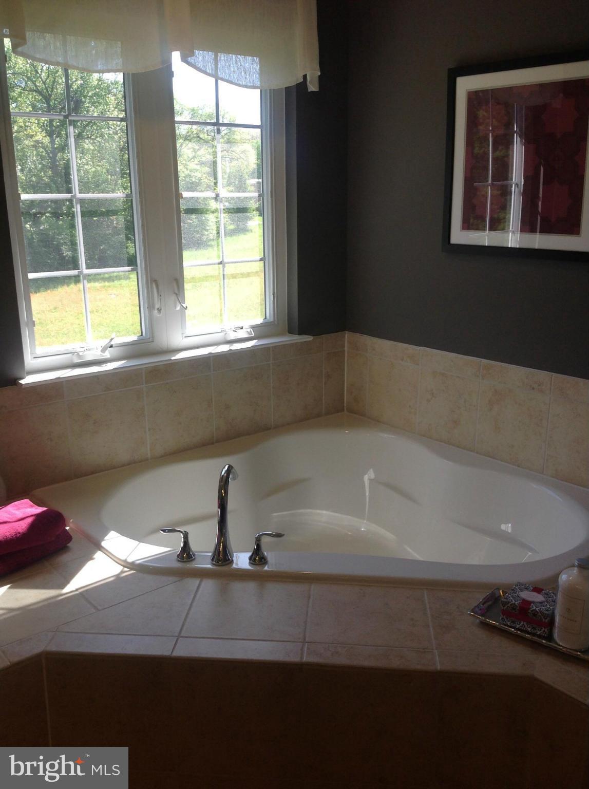 1002 Horse Collar Road Accokeek, MD 20607 - Photo 16 of 28 Model pic of Briarwood Master Bath