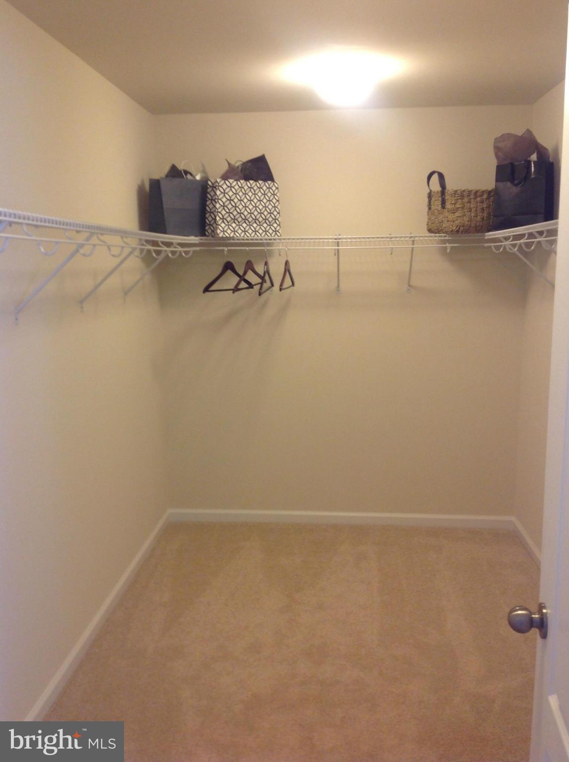 1002 Horse Collar Road Accokeek, MD 20607 - Photo 17 of 28 Model pic of Briarwood Master Walk-in Closet