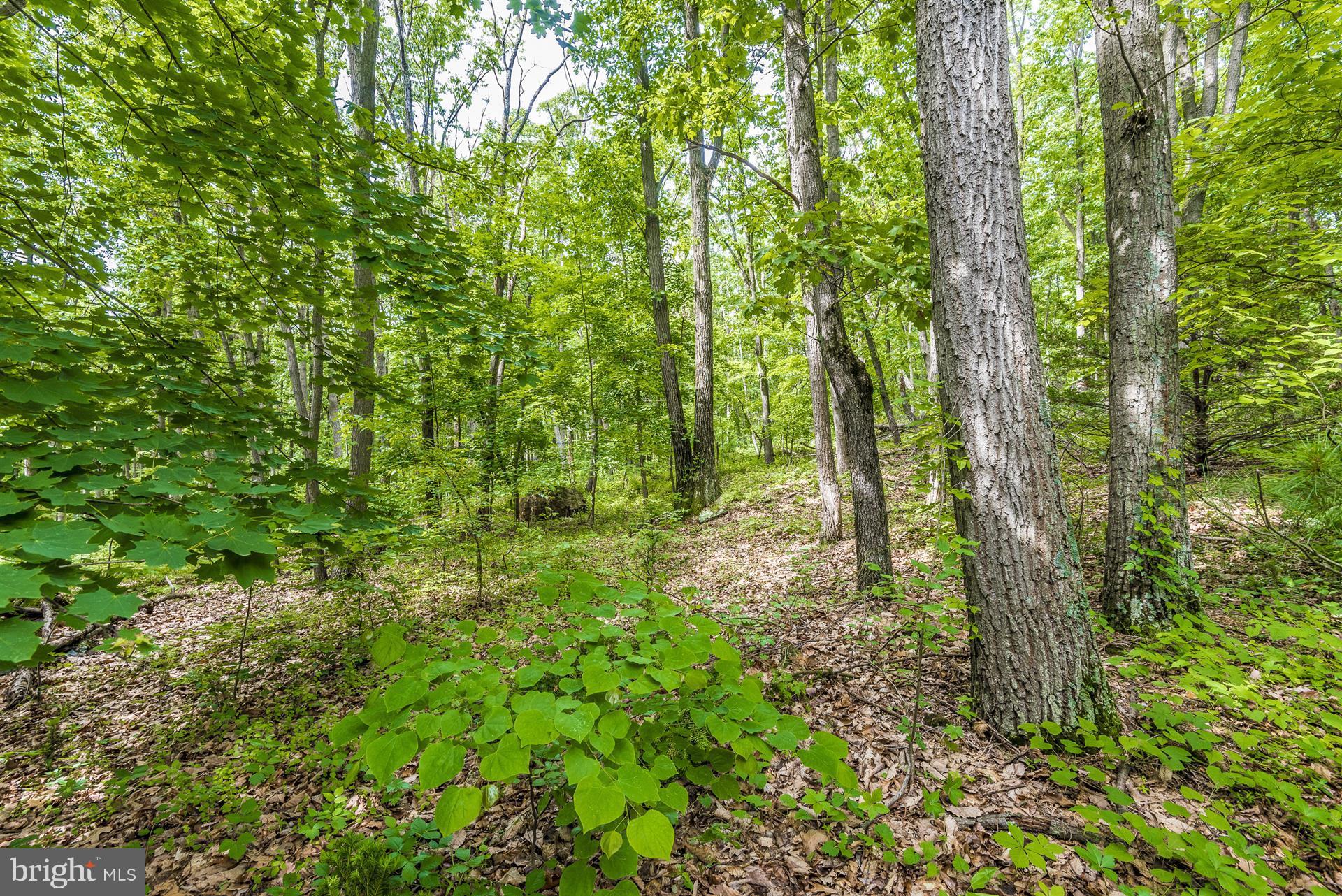 11212 Coppermine Road Woodsboro, MD 21798 - Photo 27 of 29 Outside View