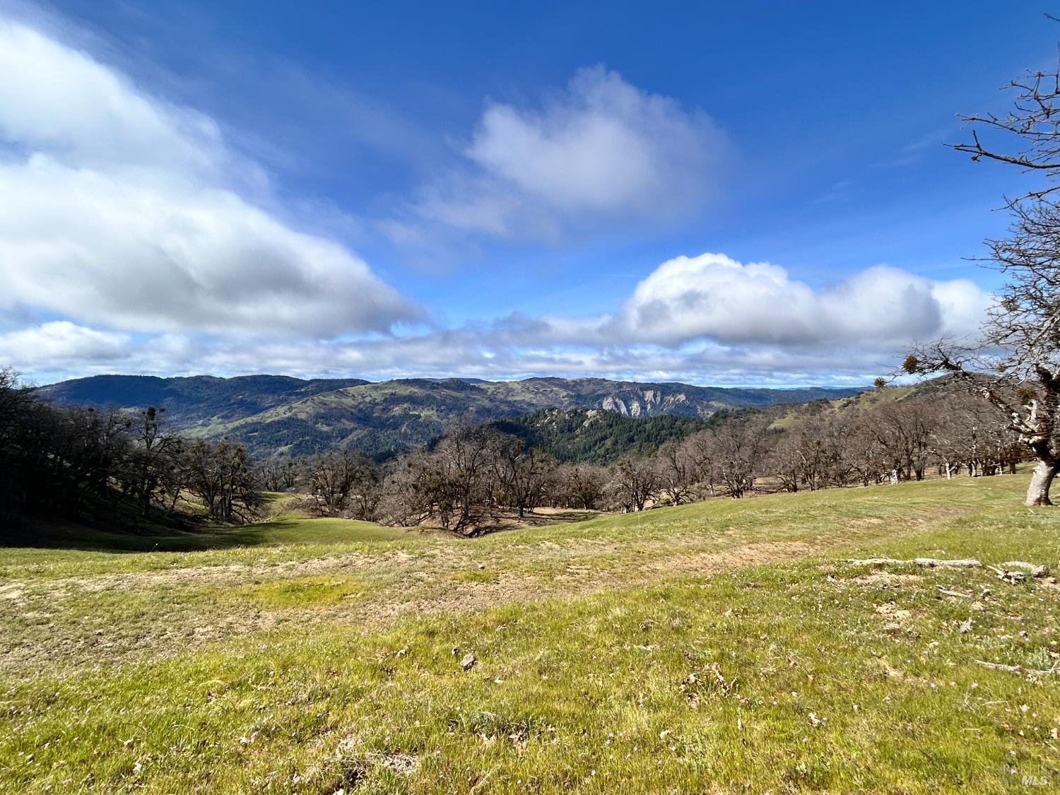 74000 Island Mountain Road Garberville, CA 95542 - Photo 5 of 36