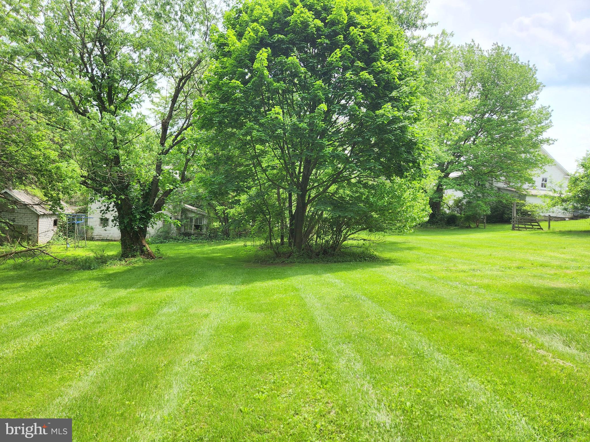 26506 Clarksburg Road Clarksburg, MD 20871 - Photo 10 of 39 a view of a trees in a yard