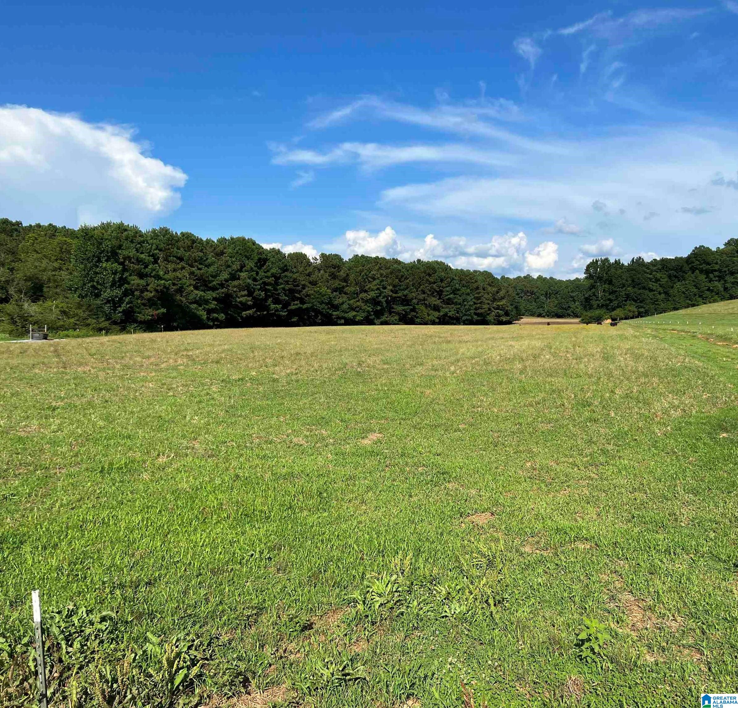 1515 Kelly Ranch Road, Unit 138 ACRES / Talladega, AL 35160 - Photo 36 of 42