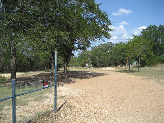 a view of a yard with tiny trees