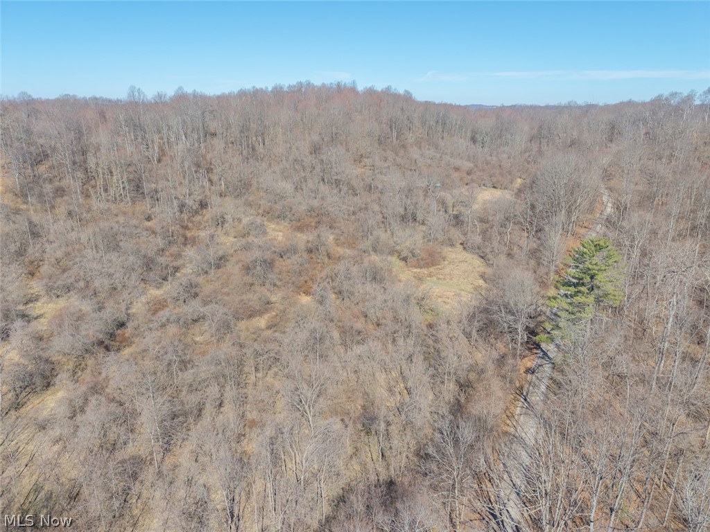 0 Clem Garvin Road Caldwell, OH 43724 - Photo 3 of 50