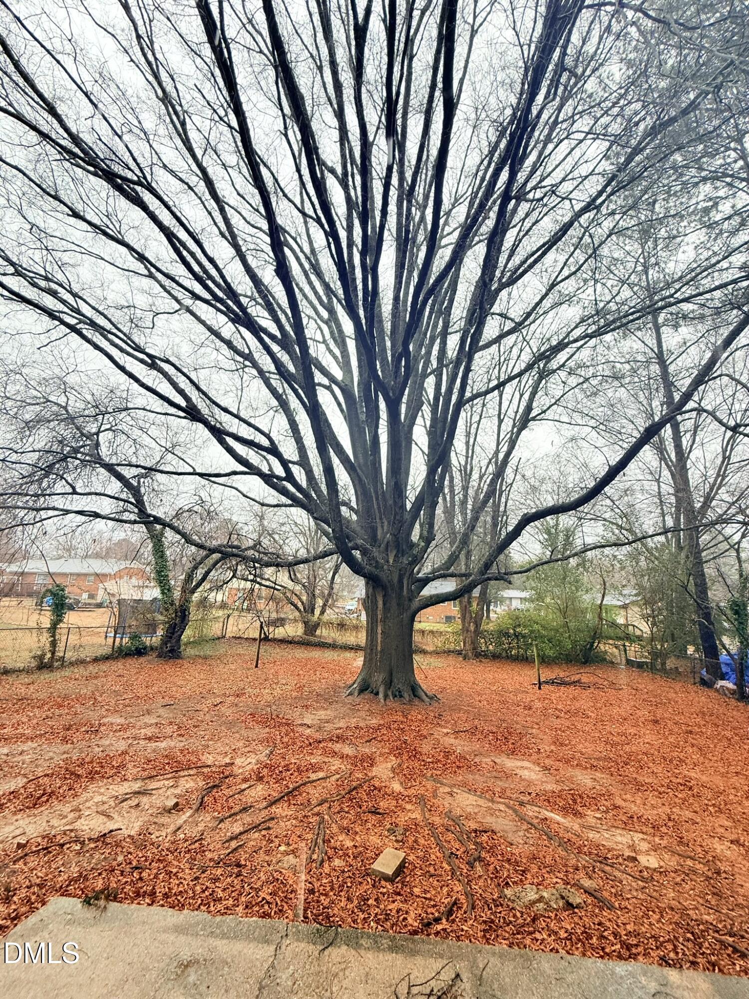 4212 Green Road Raleigh, NC 27604 - Photo 20 of 21 Backyard2