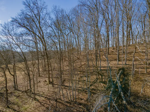 $94,900 | 0 Smith Hill Road, Lawrenceburg, TN 38464