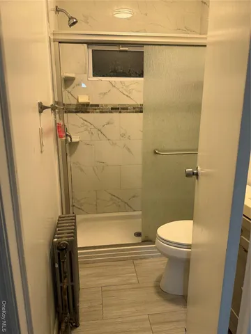 a bathroom with a shower and a toilet