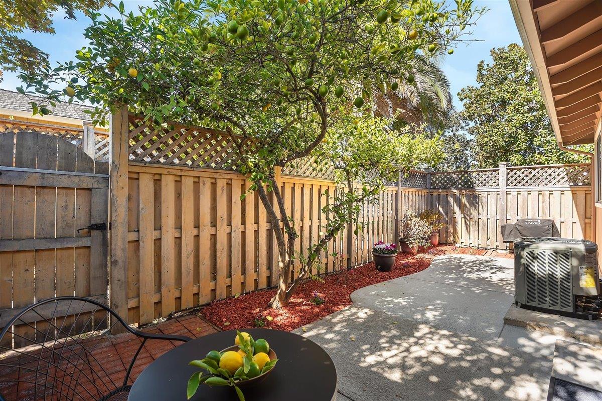 12296 Atrium Circle Saratoga, CA 95070 - Photo 25 of 34 a view of a backyard with wooden fence
