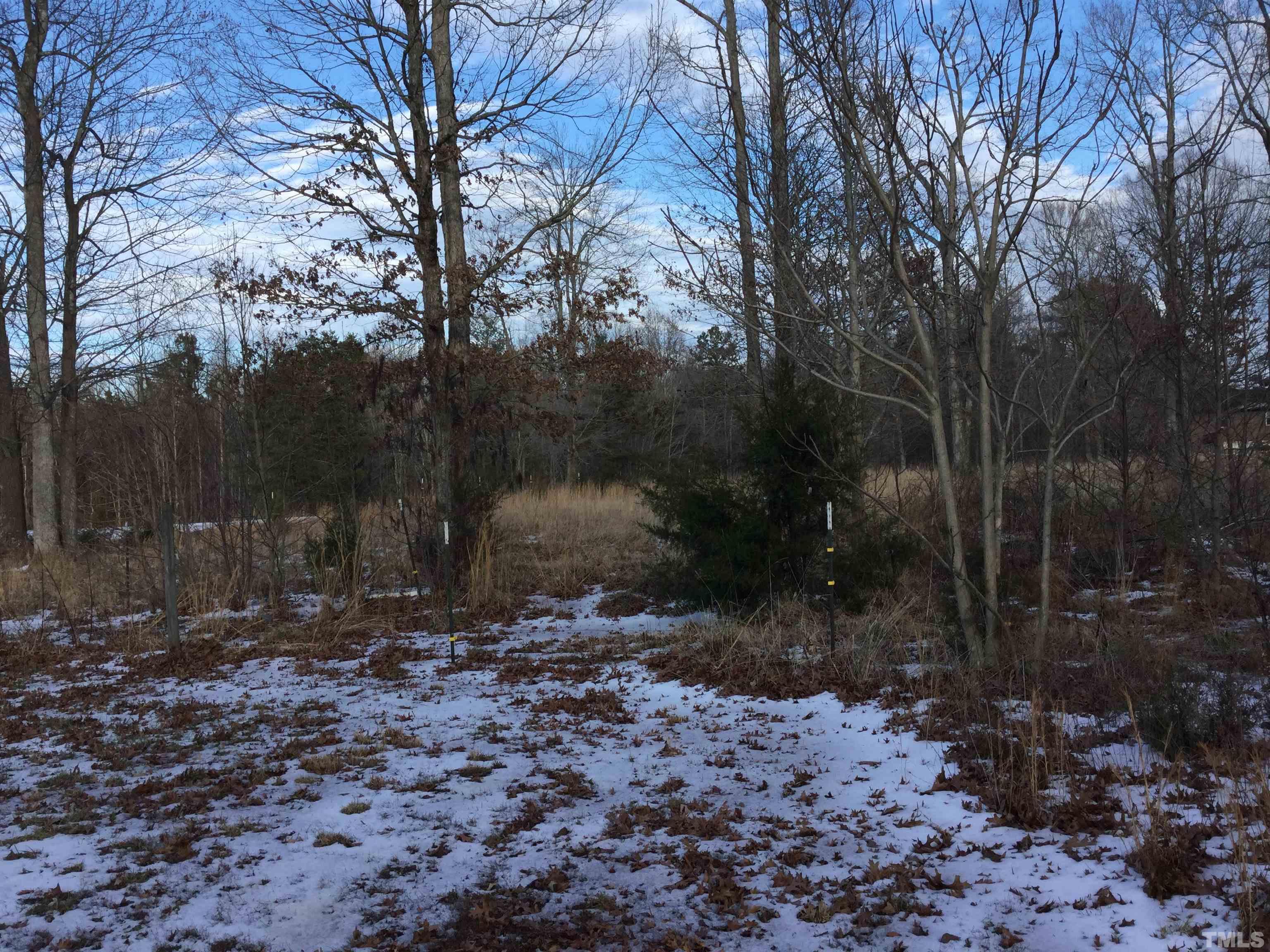 Lot 2 Corbett Road Mebane, NC 27302 - Photo 3 of 6 Gallery Image 3
