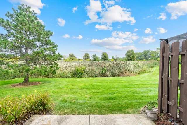 a view of a grassy field with trees