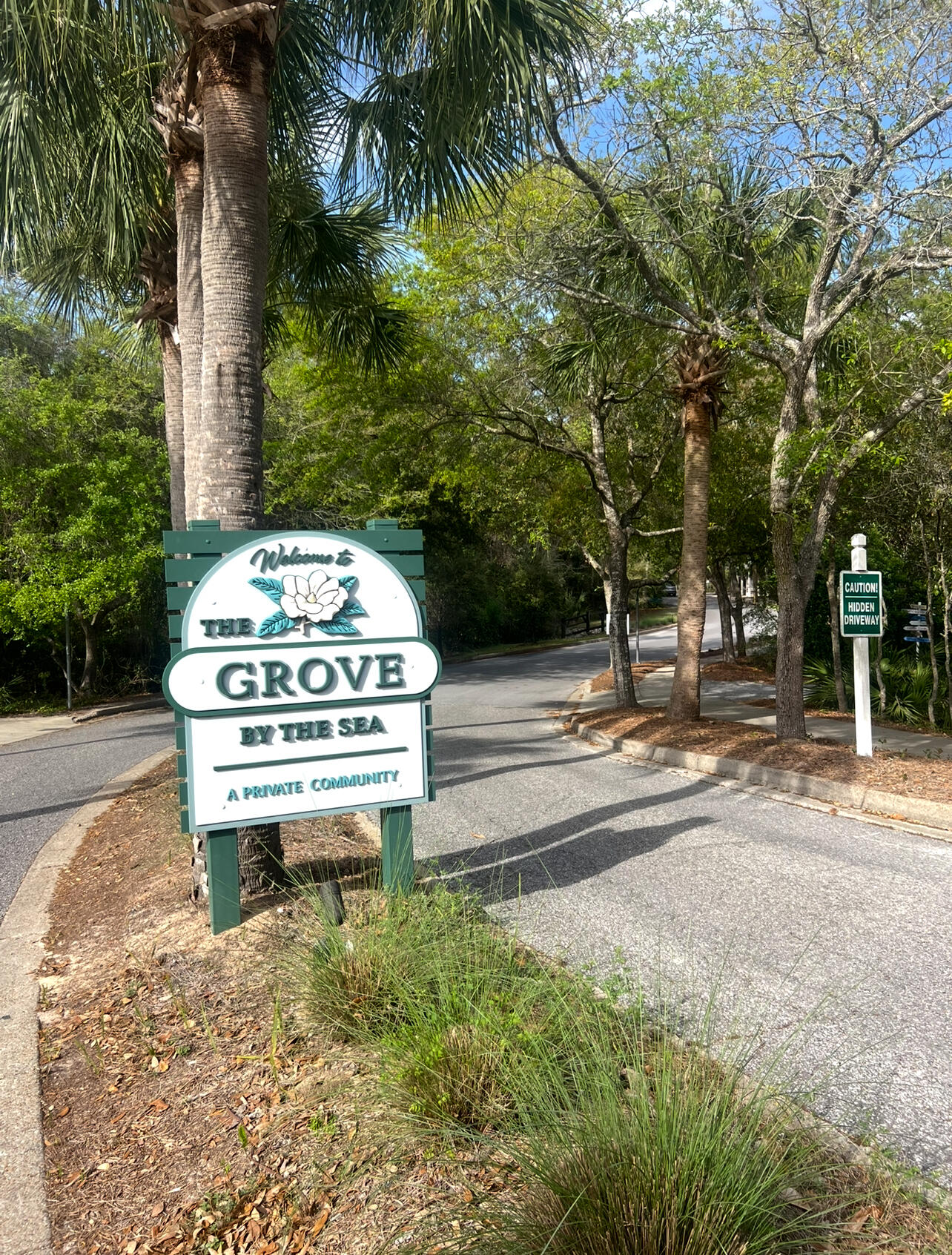 308 Cullman Avenue Santa Rosa Beach, FL 32459 - Photo 2 of 5 a view of a park with tree s