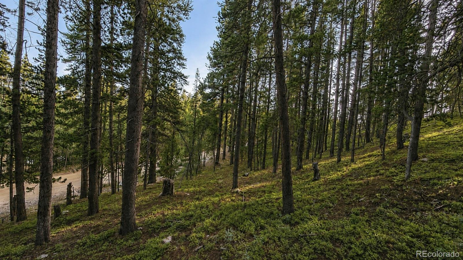 0 Steuart Road Idaho Springs, CO 80452 - Photo 7 of 19 Gallery Image 7