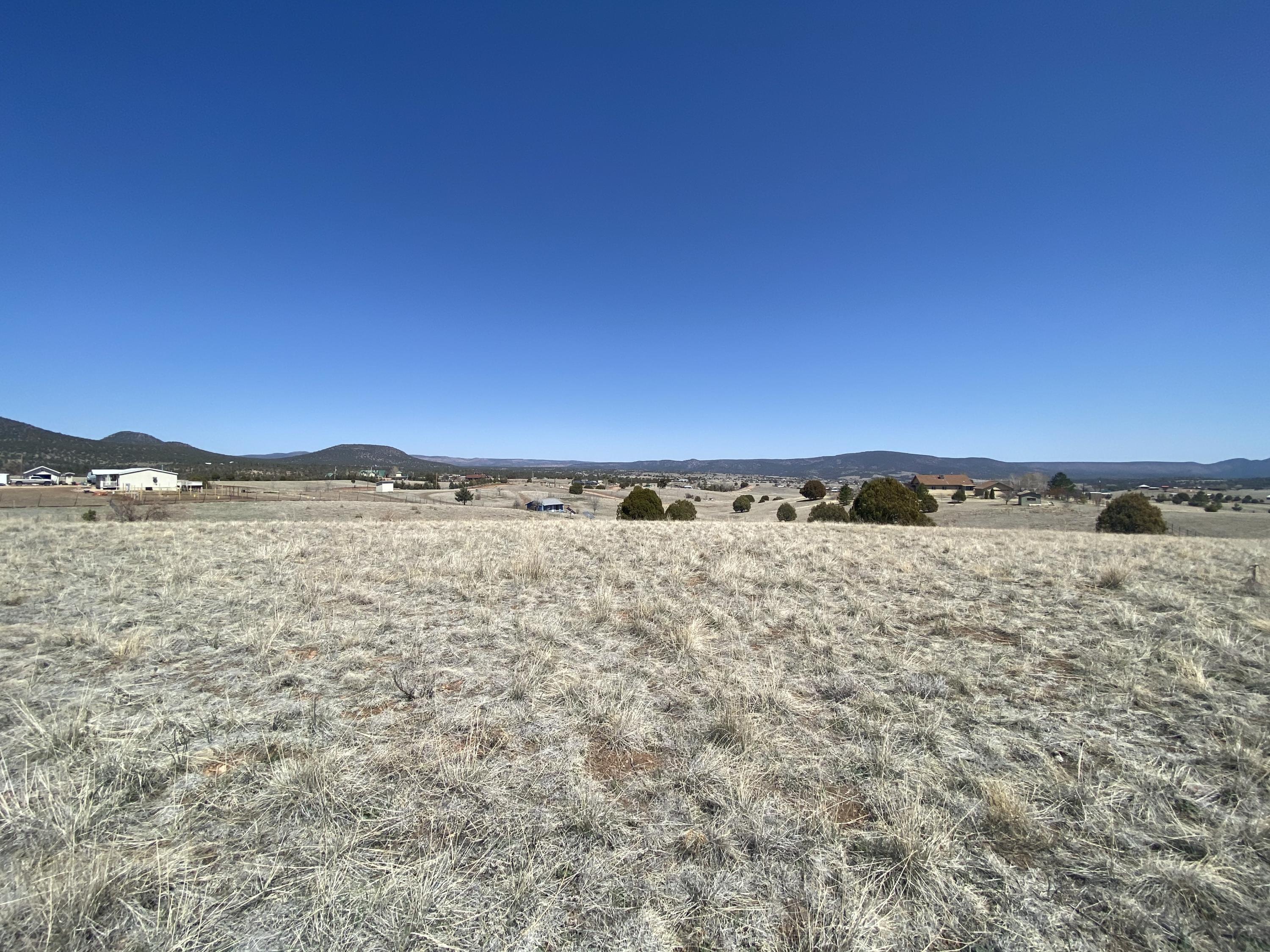 0 Rolling Hills Road Young, AZ 85554 - Photo 15 of 21