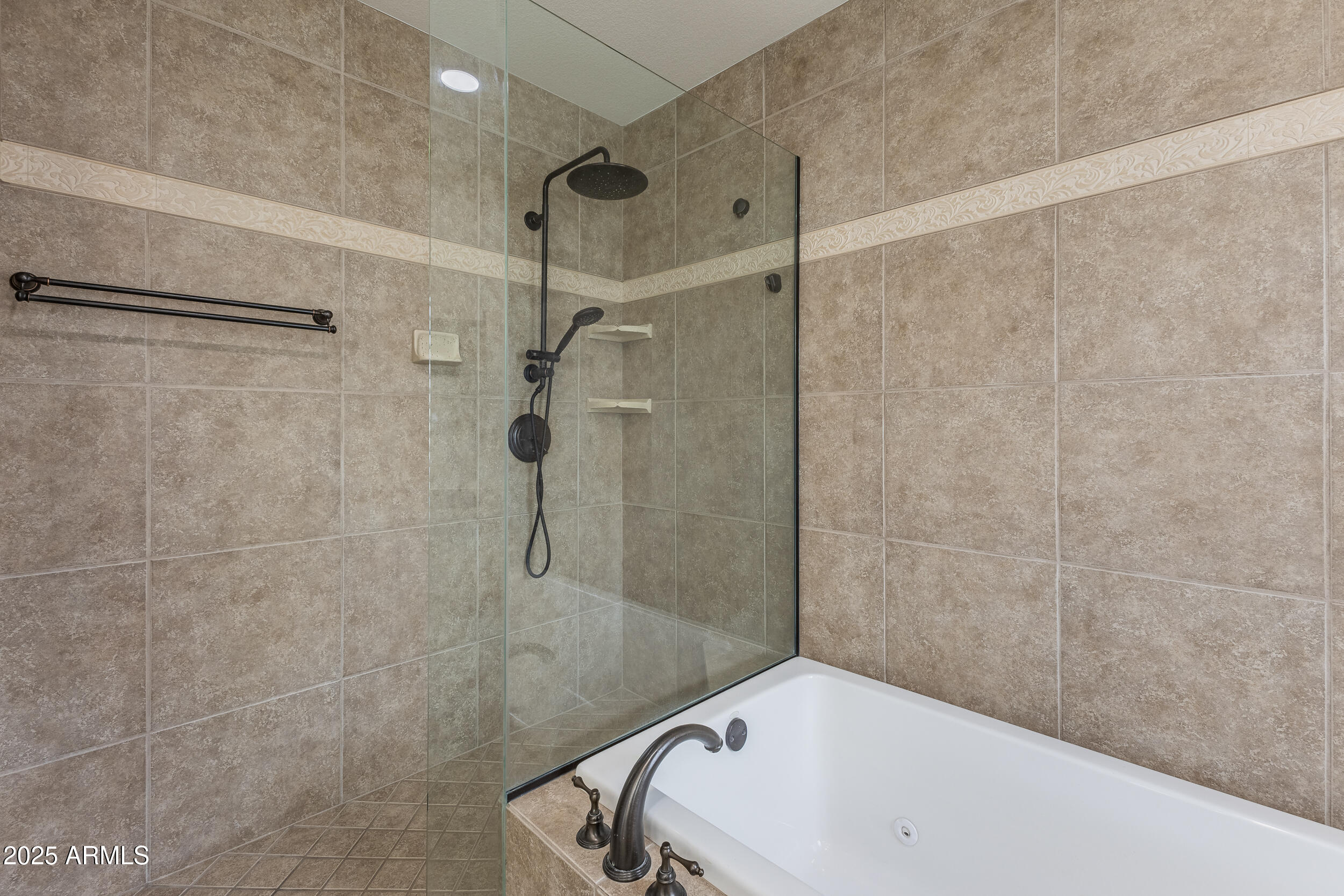 1011 South Coral Key Court Gilbert, AZ 85233 - Photo 33 of 42 Primary Shower