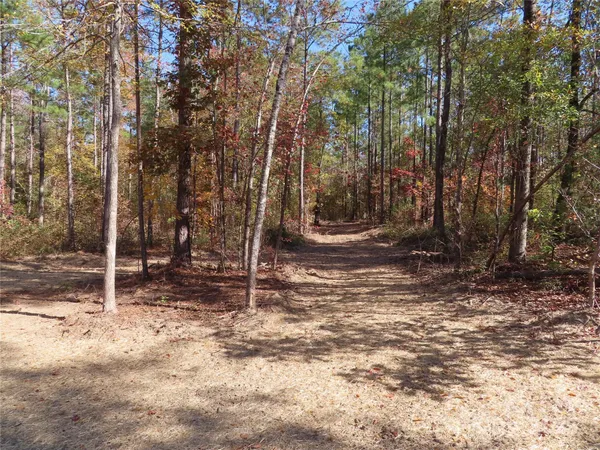 a view of outdoor space with trees