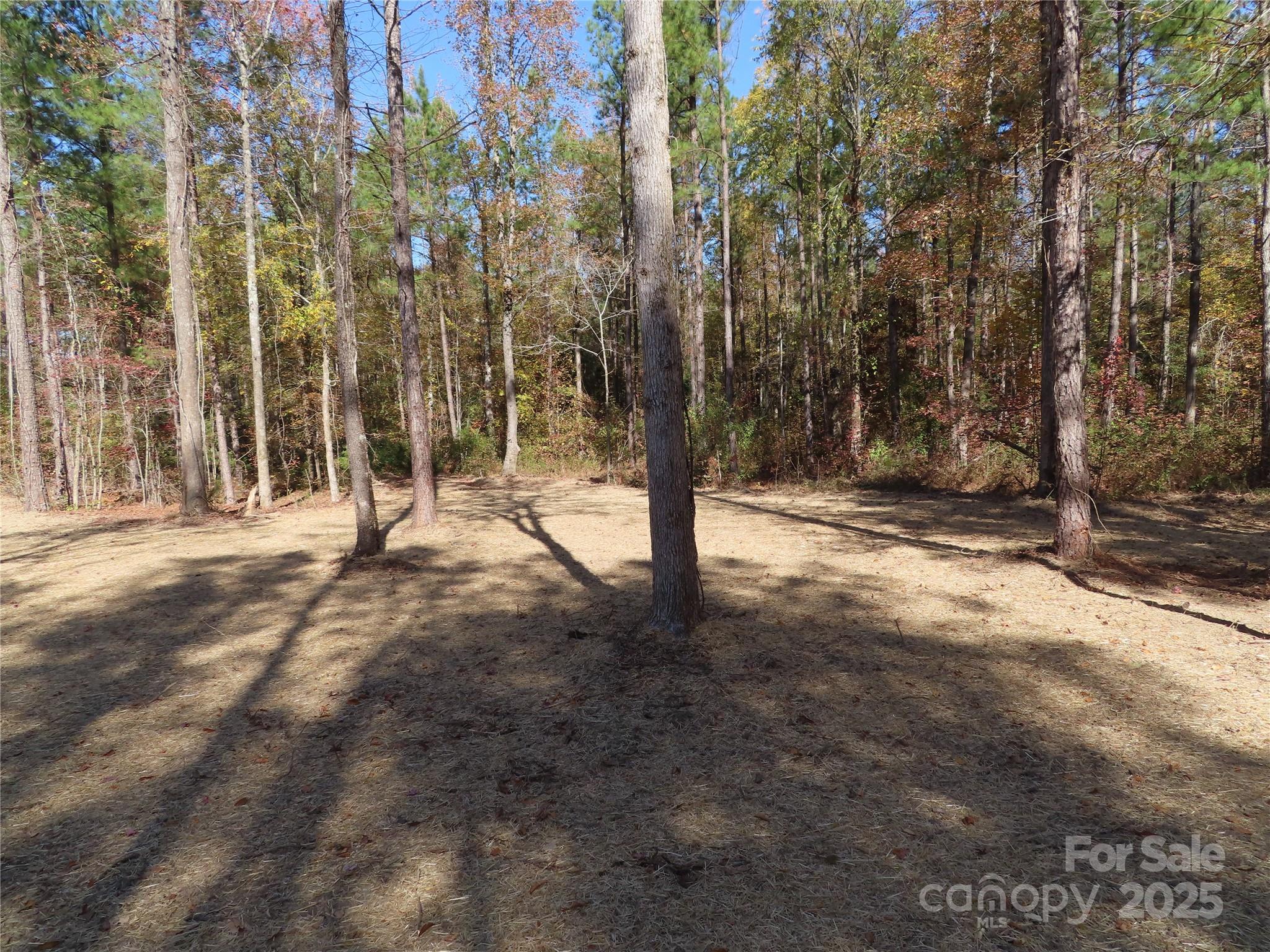 3812 Winter Road, Unit 5 Rock Hill, SC 29730 - Photo 10 of 37 a view of outdoor space with trees