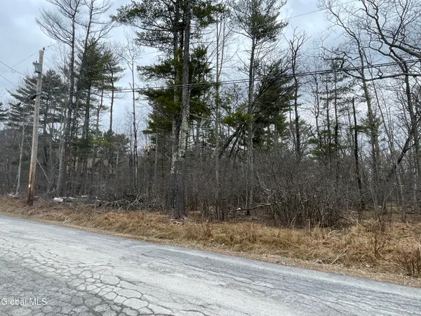 $52,500 | L40.000 Stone Mt Road, Round Top, NY 12473