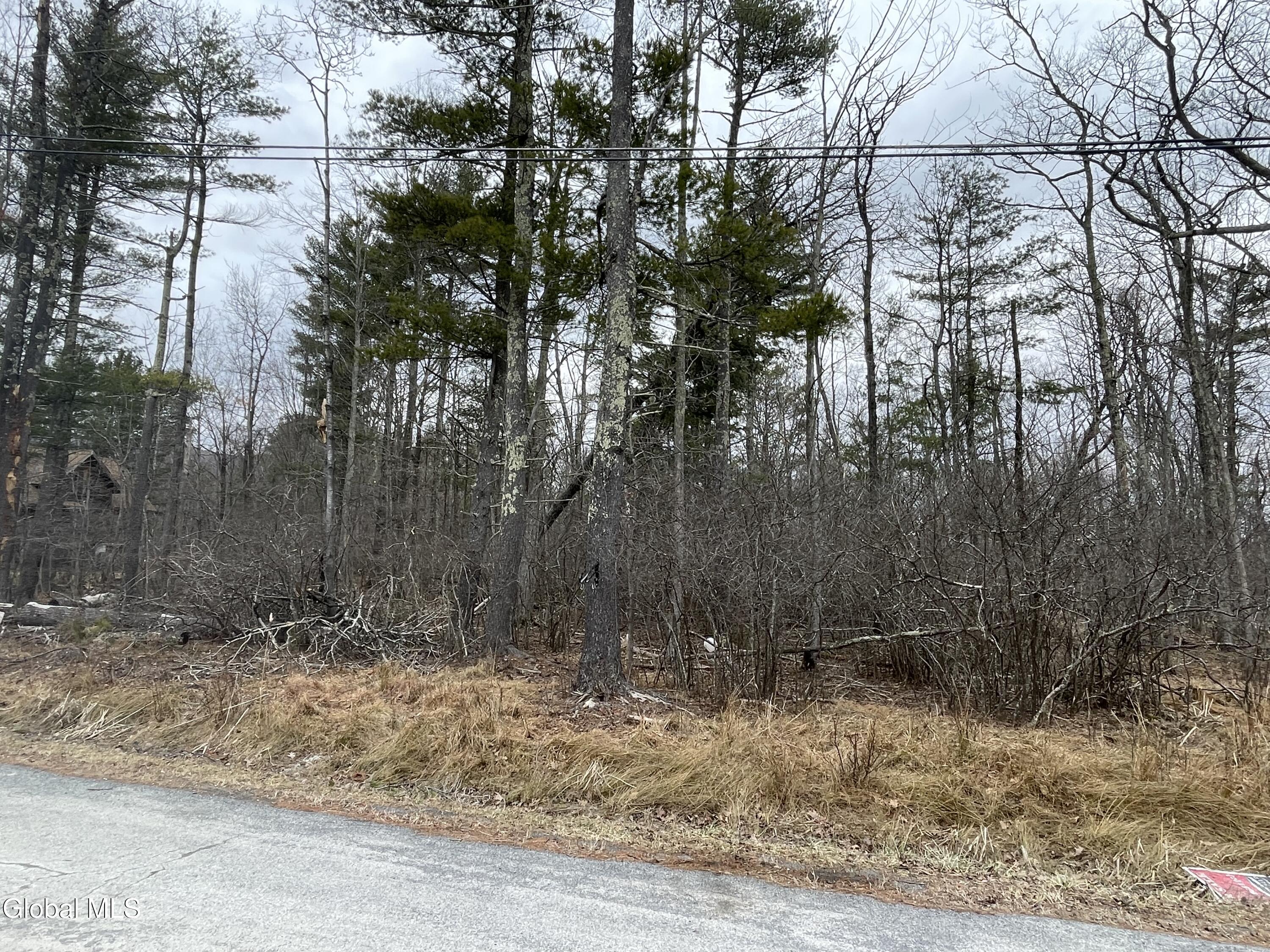 L40.000 Stone Mt Road Round Top, NY 12473 - Photo 2 of 9 00C98763-1C73-47C1-A1FE-3ABA867ACBD8