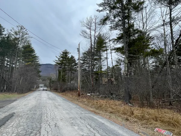 $52,500 | L40.000 Stone Mt Road, Round Top, NY 12473