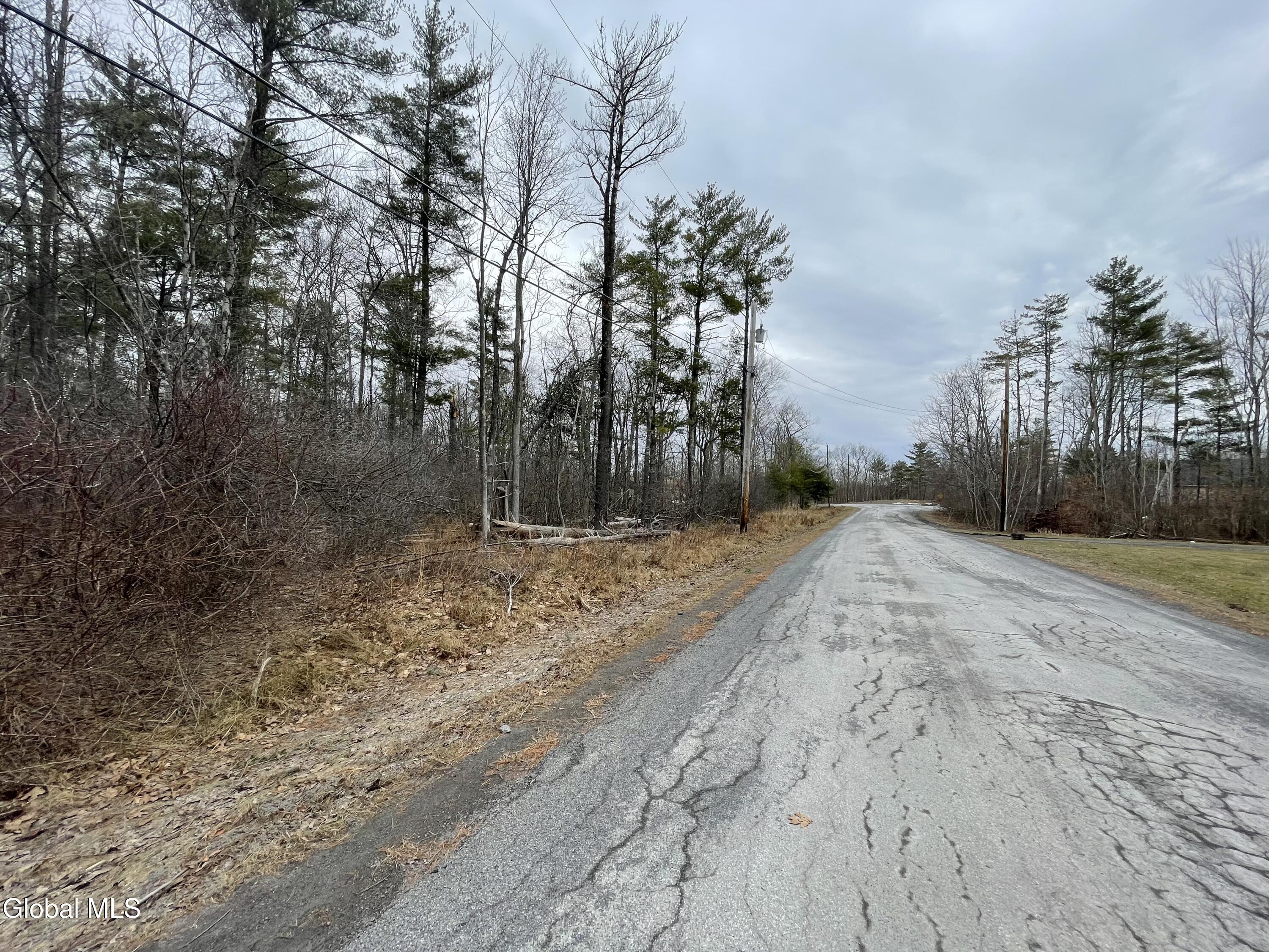 L40.000 Stone Mt Road Round Top, NY 12473 - Photo 4 of 9 22FF9A55-7908-4941-AE6B-1C67F5E05399