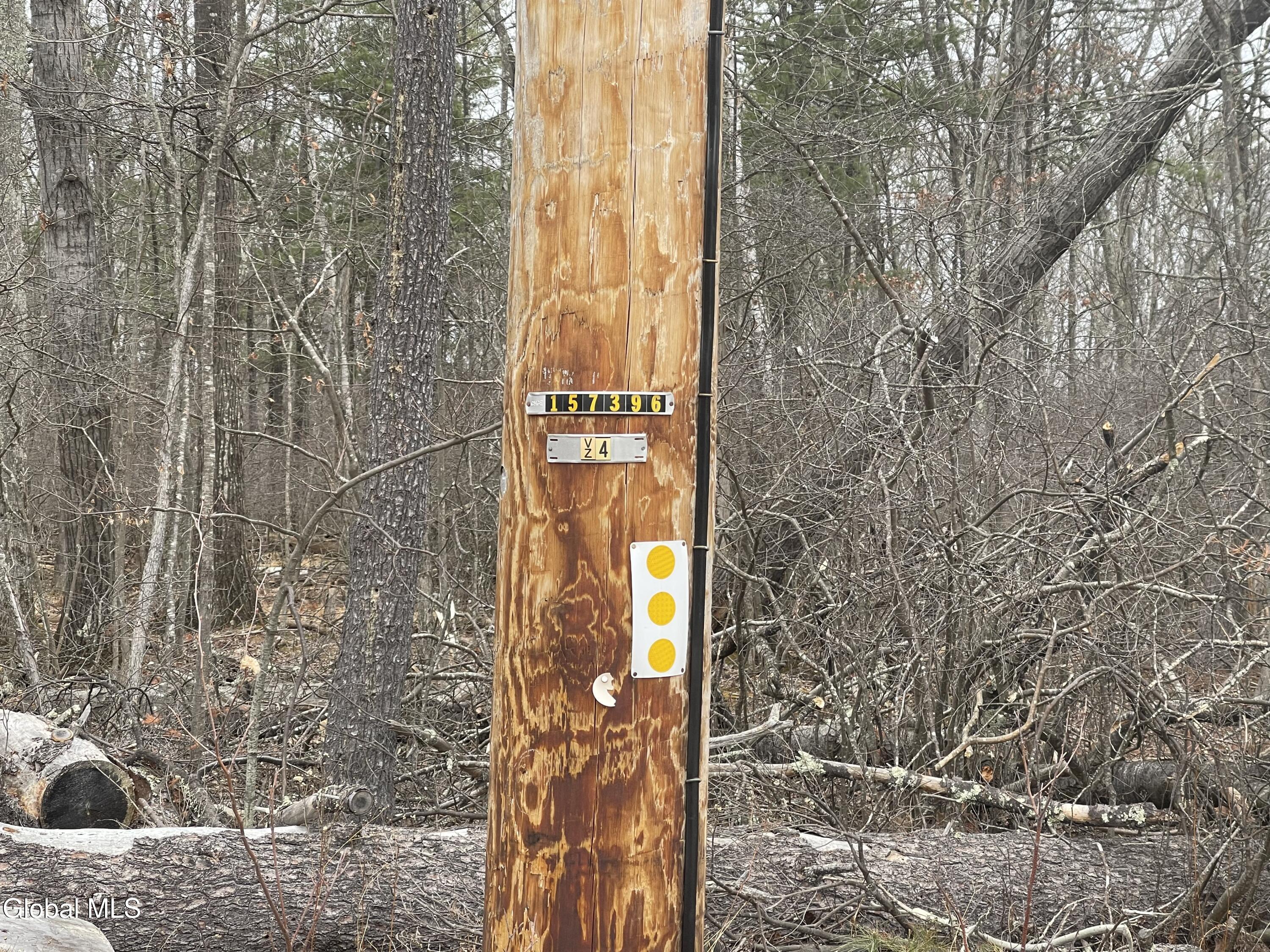 L40.000 Stone Mt Road Round Top, NY 12473 - Photo 6 of 9 2CCFFEA4-B149-477E-B54E-55CD37C3123F