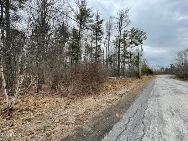 $52,500 | L40.000 Stone Mt Road, Round Top, NY 12473