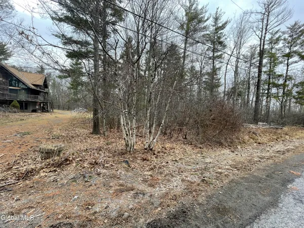 $52,500 | L40.000 Stone Mt Road, Round Top, NY 12473