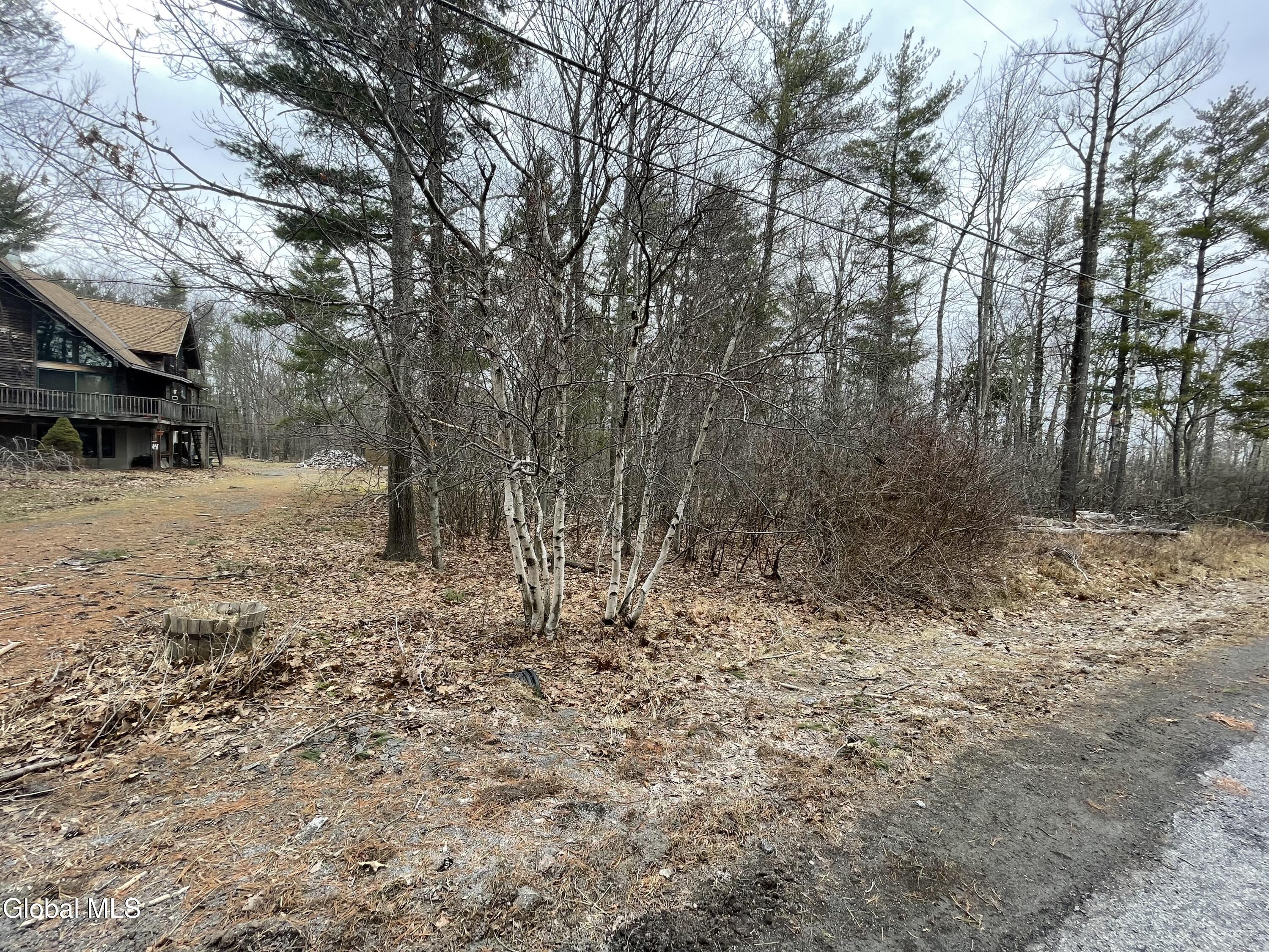 L40.000 Stone Mt Road Round Top, NY 12473 - Photo 9 of 9 107ADC86-C198-481F-9AF7-521924320974