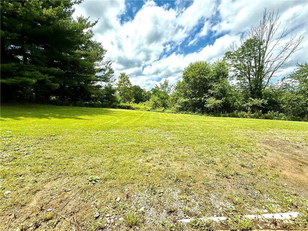 481 Enon Road Enon Valley, PA 16120 - Photo 23 of 33 View of Backyard