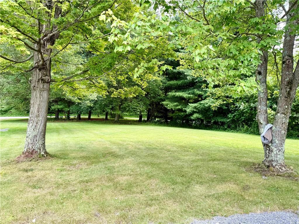 481 Enon Road Enon Valley, PA 16120 - Photo 28 of 33 Front yard