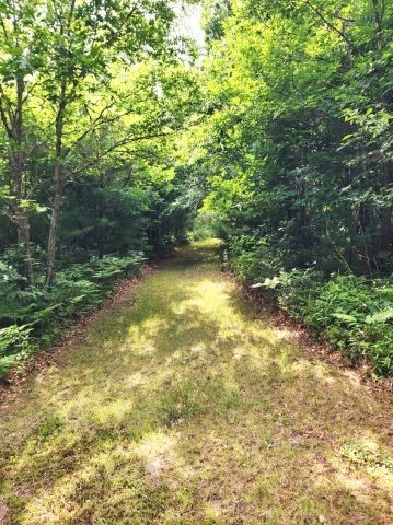 6565 Lynch Bridge Road Siren, WI 54872 - Photo 24 of 60