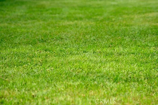 a view of a green field