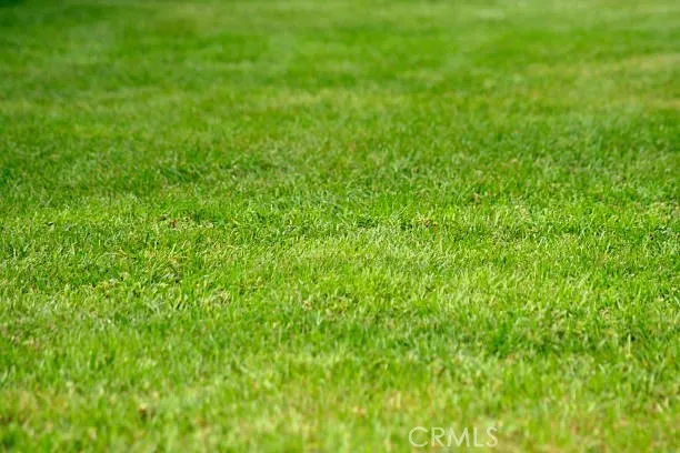 a view of a green field